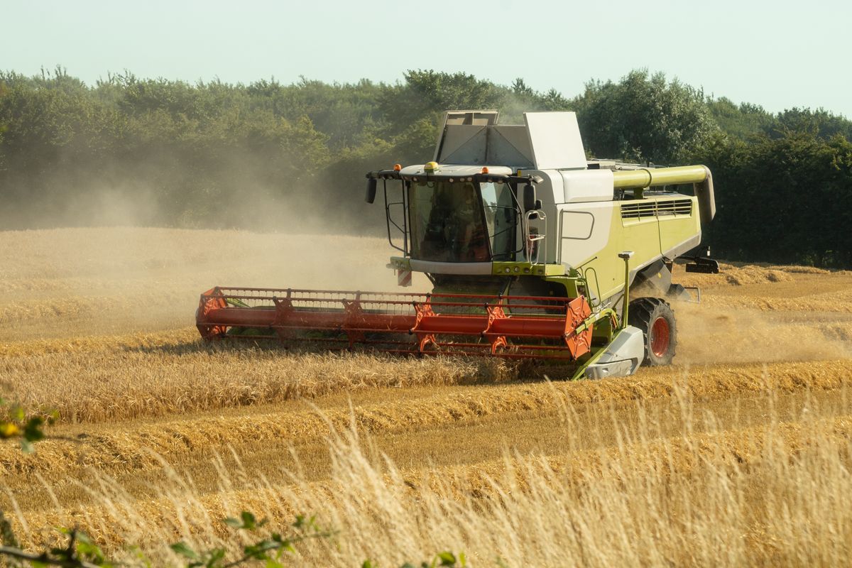 Agriculture & Animal Production